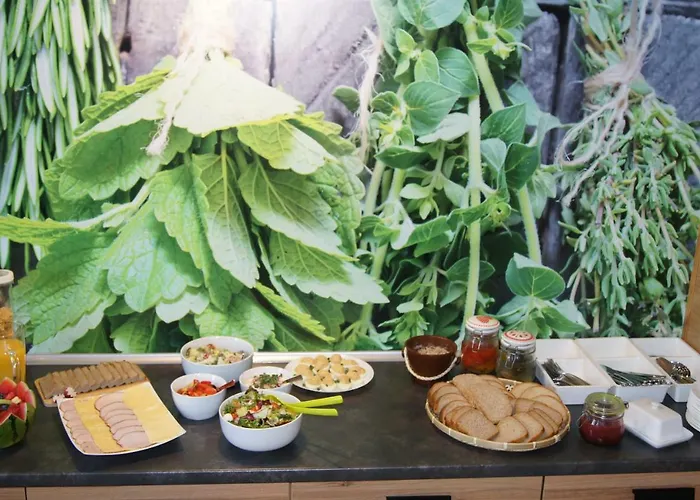 Mietowy Dworek Wisla